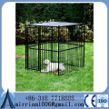 Anping Factory Powder coating heavy duty big dog kennel /iron fence dog kennel